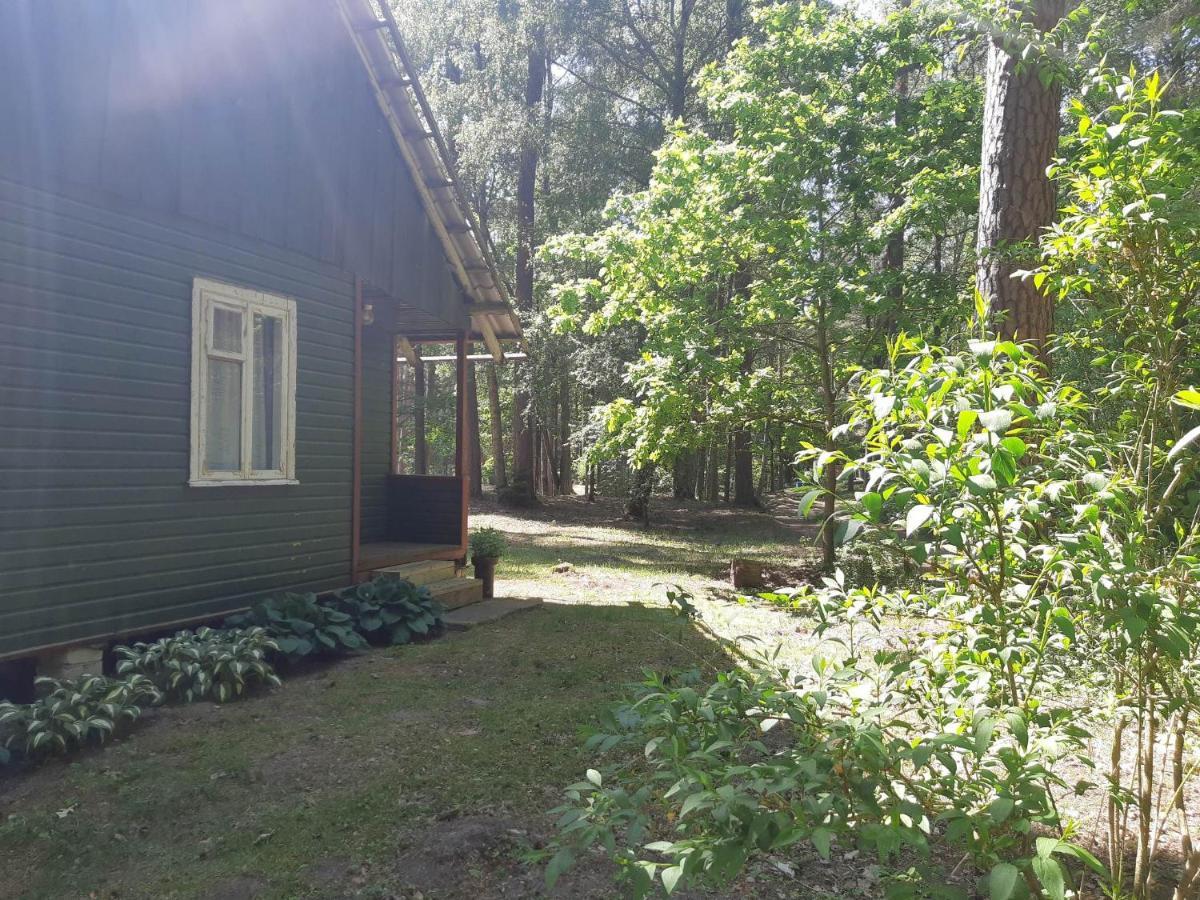 Asmonu Poilsiaviete Villa Kinty Exterior photo